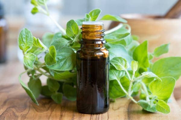 a bottle of essential oil in front of oregano