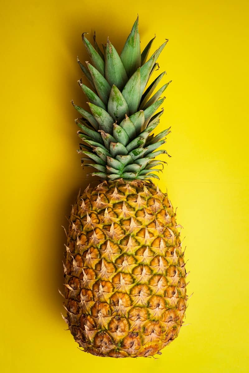 You Got This, Little Pinapple - A no BS guide to taking control of your career