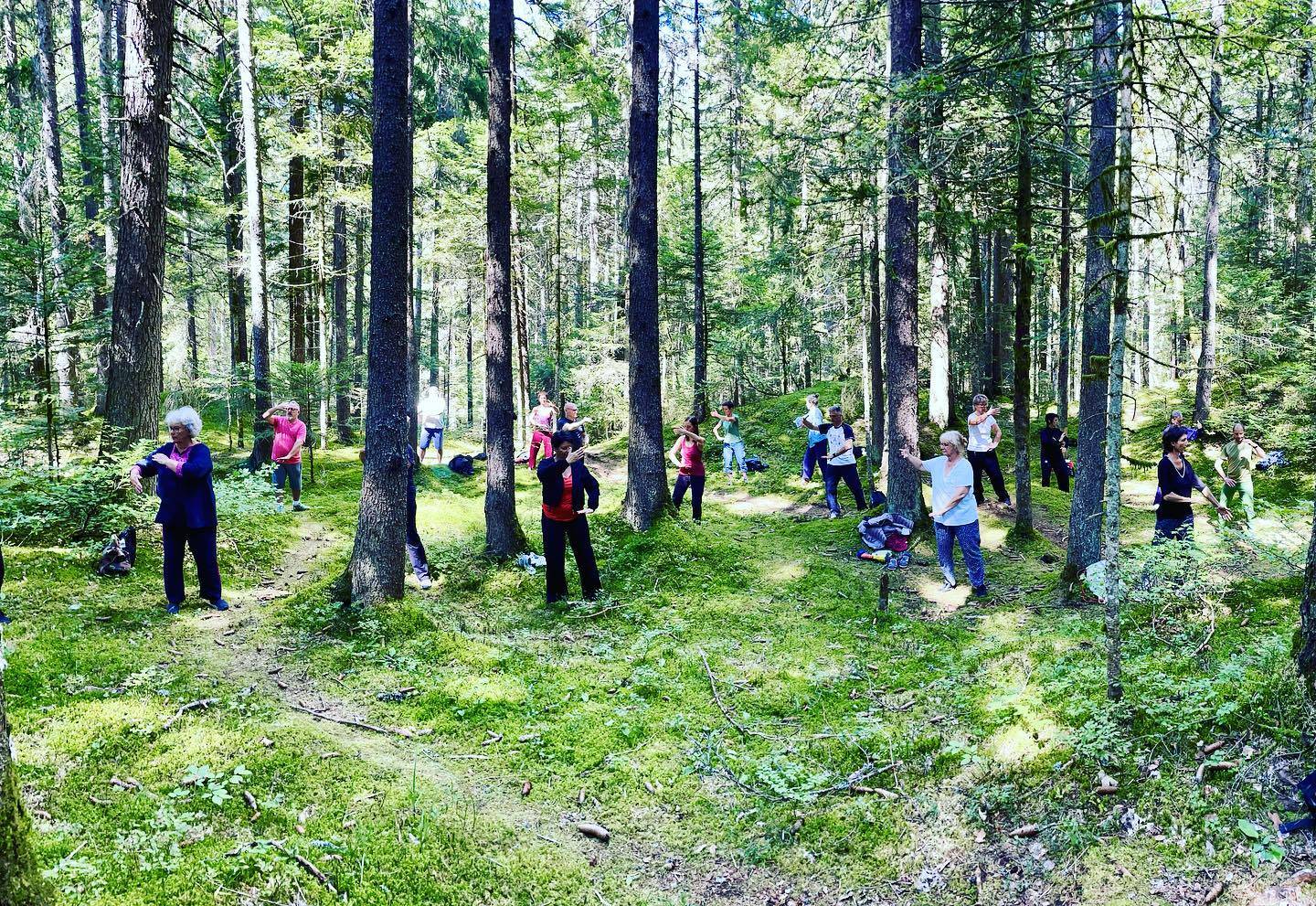 Retour sur 4 jours de stage dédiés aux animaux du #wudang 🐢🐍 🐅 🐦 🐉 

Une semaine dans la simplicité, connectés à la nature et à notre corps, de quoi ralentir la narration de l’esprit et trouver la voie du calme.

Cultive ton #qi,
tais toi, 
conserve, 
pour calmer l’esprit agis  sans agir,
pour agir calmement, connais ta lignée.
