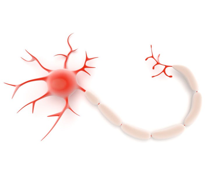 Habits trigger a process called Myelination