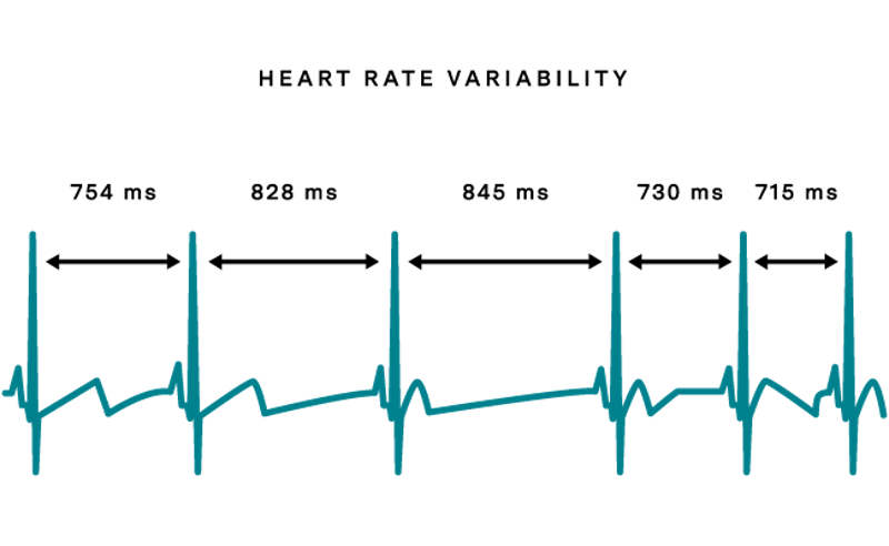 The connectin between Heart Rate Variability and Willpower