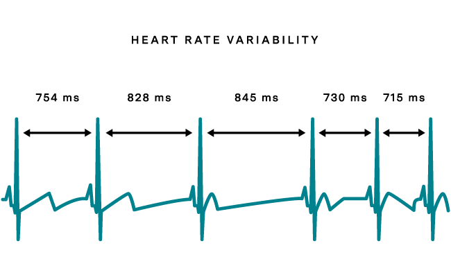 The connectin between Heart Rate Variability and Willpower