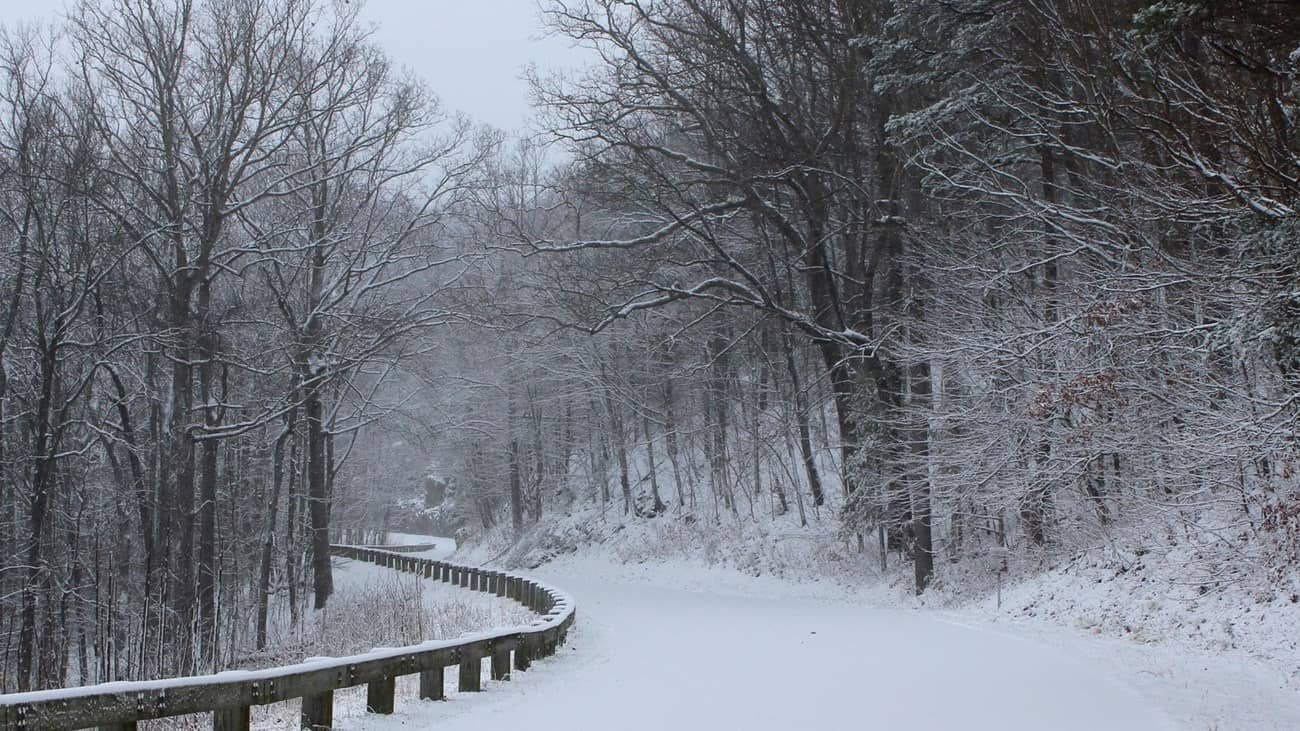 A snow-covered forest road