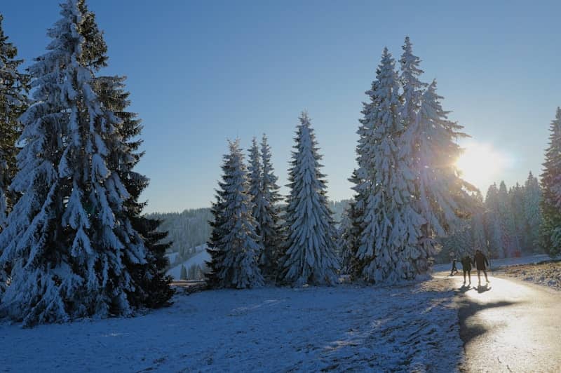Two people walking on a snowy path at sunrise