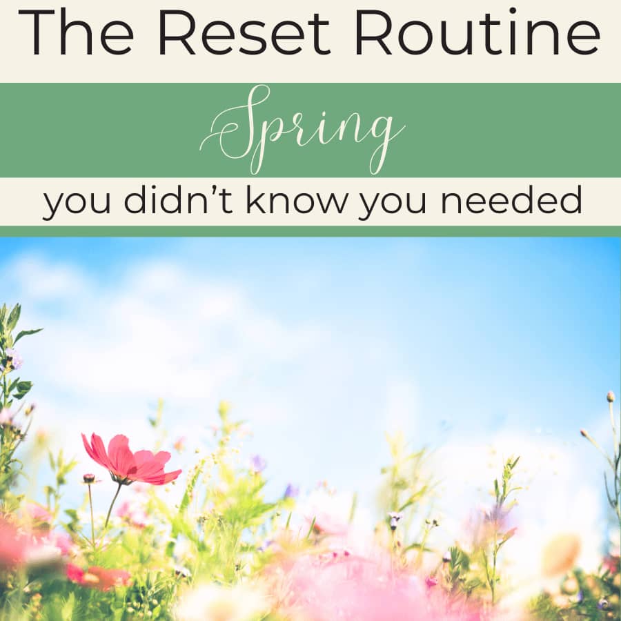 spring reset routine representative image