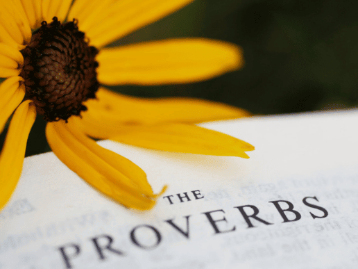 a yellow sunflower over the bible turned to a page with the heading "The Proverbs"