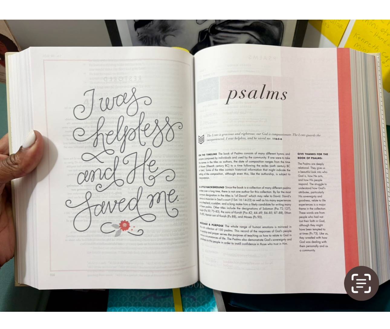 pages from the She reads truth bible