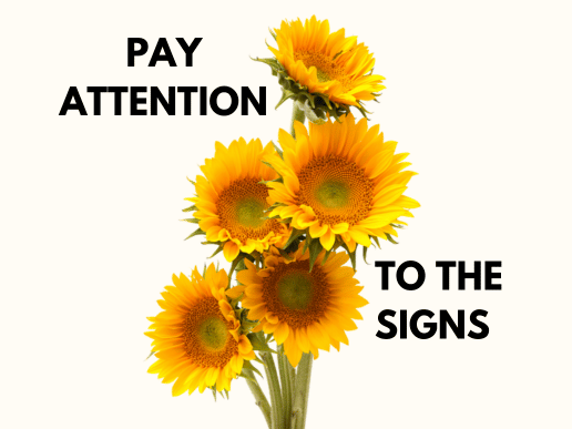 pay attention to the signs written across images of sun flowers