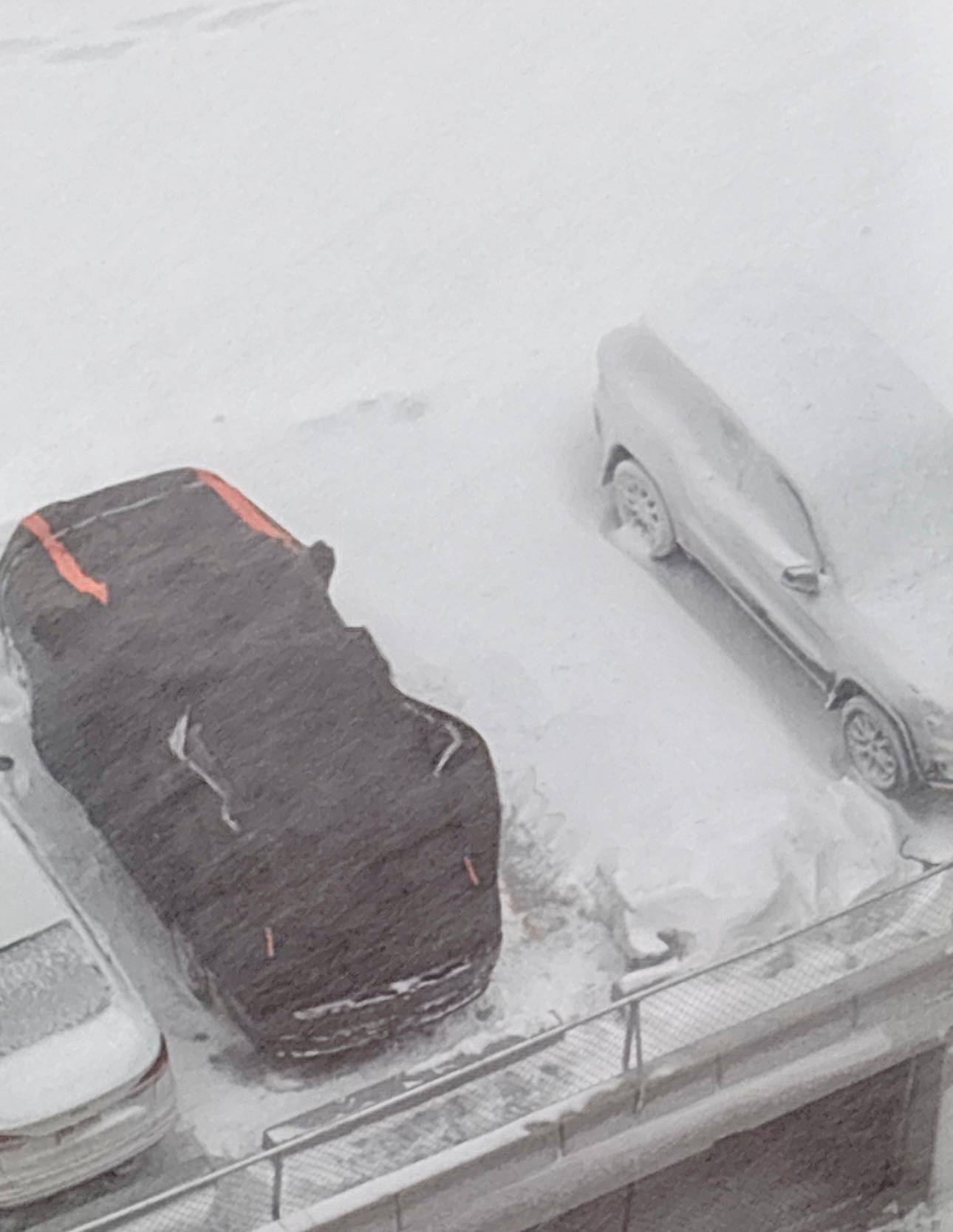 snowstorm with 1 van covered and not snowed on