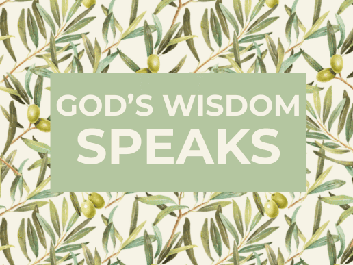 God's wisdom speaks written over image of olive leaces