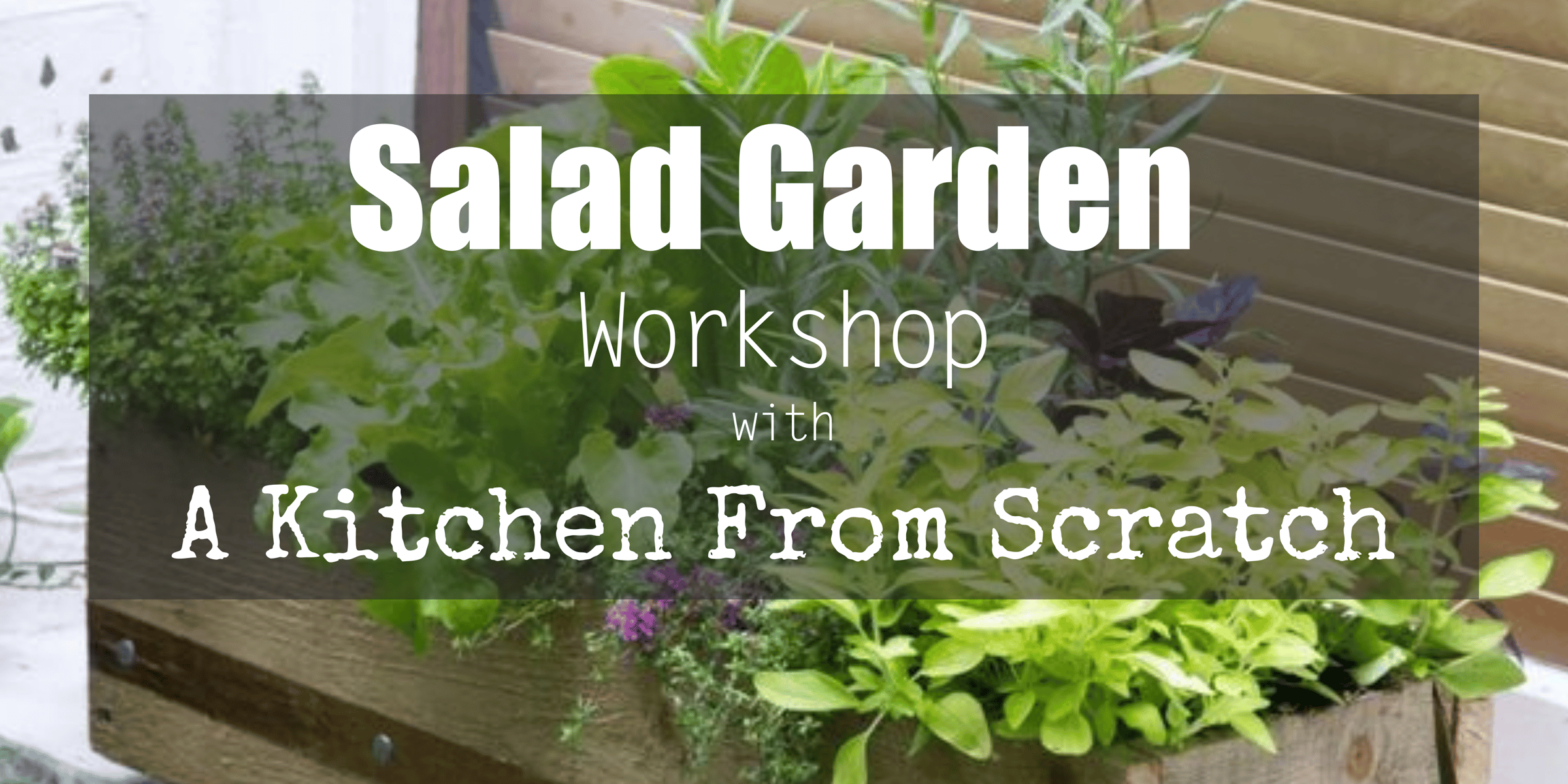 Salad workshop
