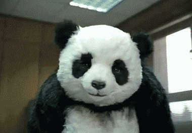 Panda losing his cool in an office setting throwing computer and smashing keyboard