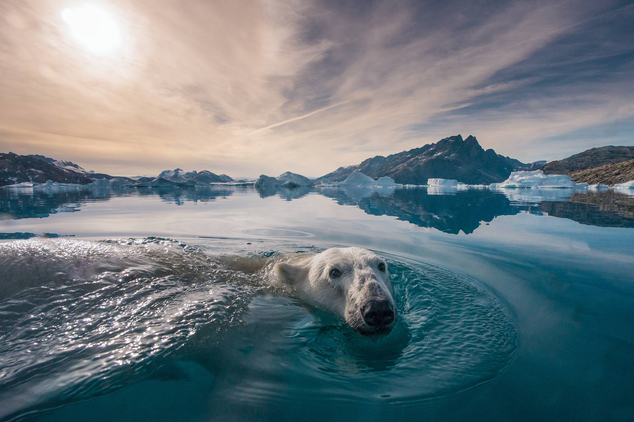 Photo © Andy Mann / Courtesy of Vital Impacts