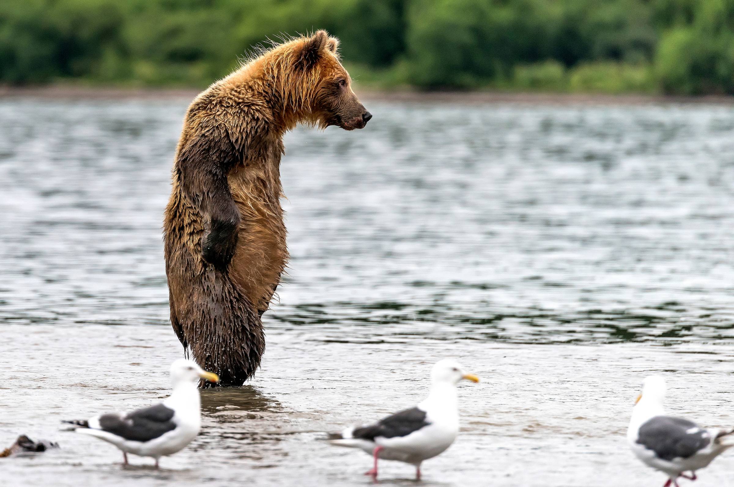 A different starting point for hope this Earth Day: how attention reshapes our connection to nature and what we choose to protect.