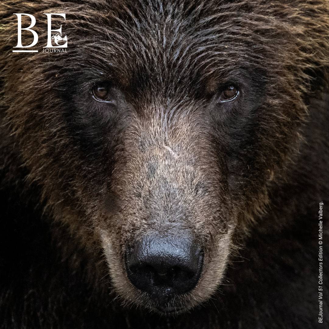 BEJournal Collectors Edition: A Love Letter to the Great Bear Rainforest