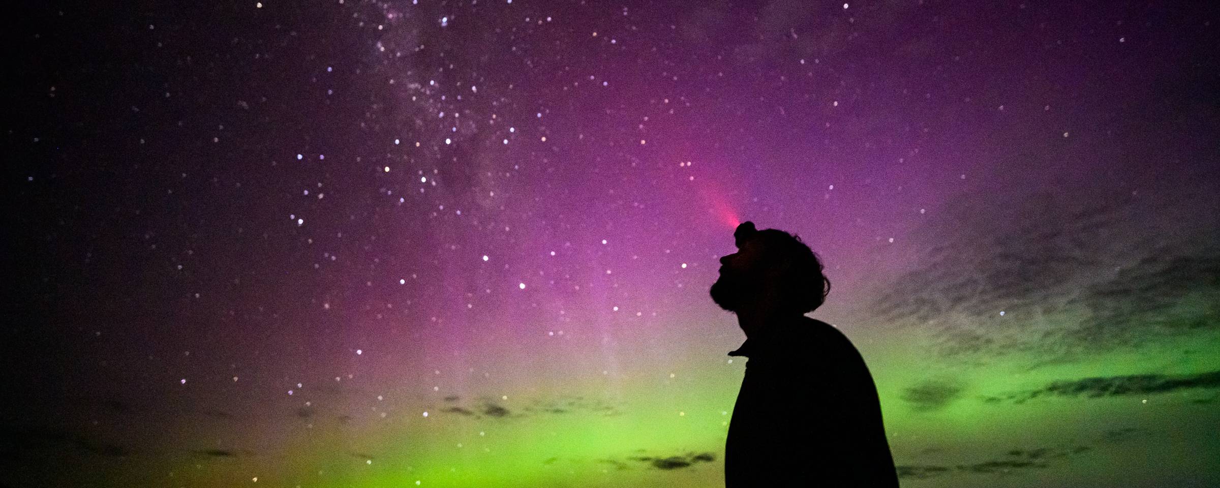 Welcoming the Year of the Fire Horse ??