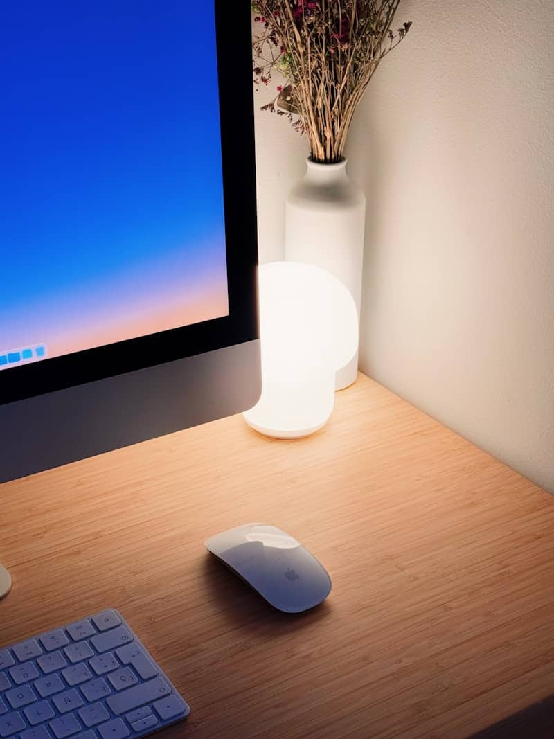 Computer monitor, mouse, and lamp on wooden desk.