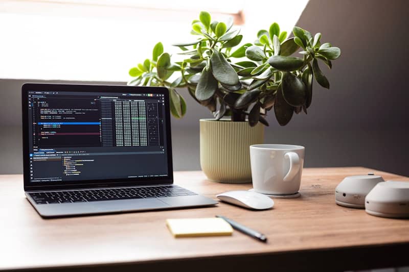 Laptop with code, plant, and mug on desk.