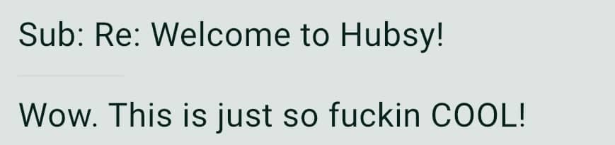 Screenshot says wow this is just so fuckin cool! (About Hubsy)