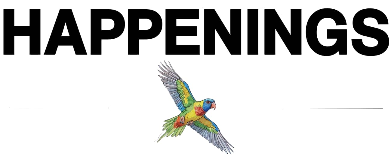 HAPPENINGS LORIKEET
