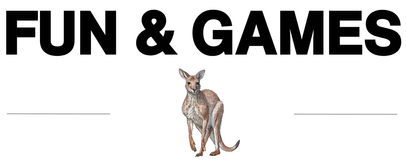 FUN & GAMES ROO