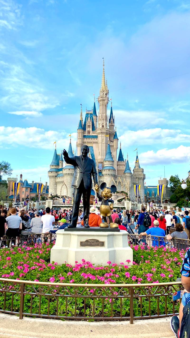 people walking on park near disney castle during daytime