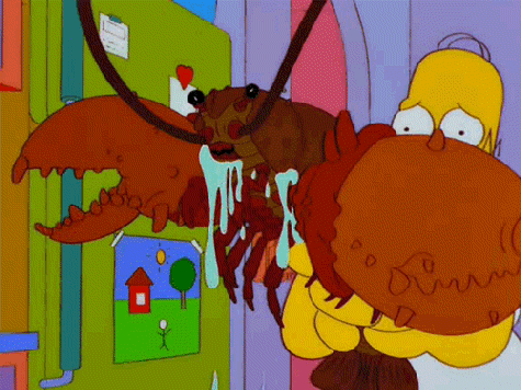 Homer Simpson with a lobster
