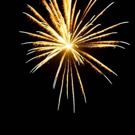 A fireworks is lit up in the dark sky