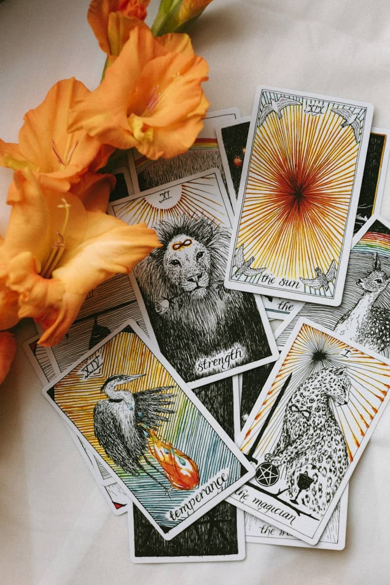 Colorful tarot cards with animals including lion, giraffe, and bird, next to bright orange flowers.