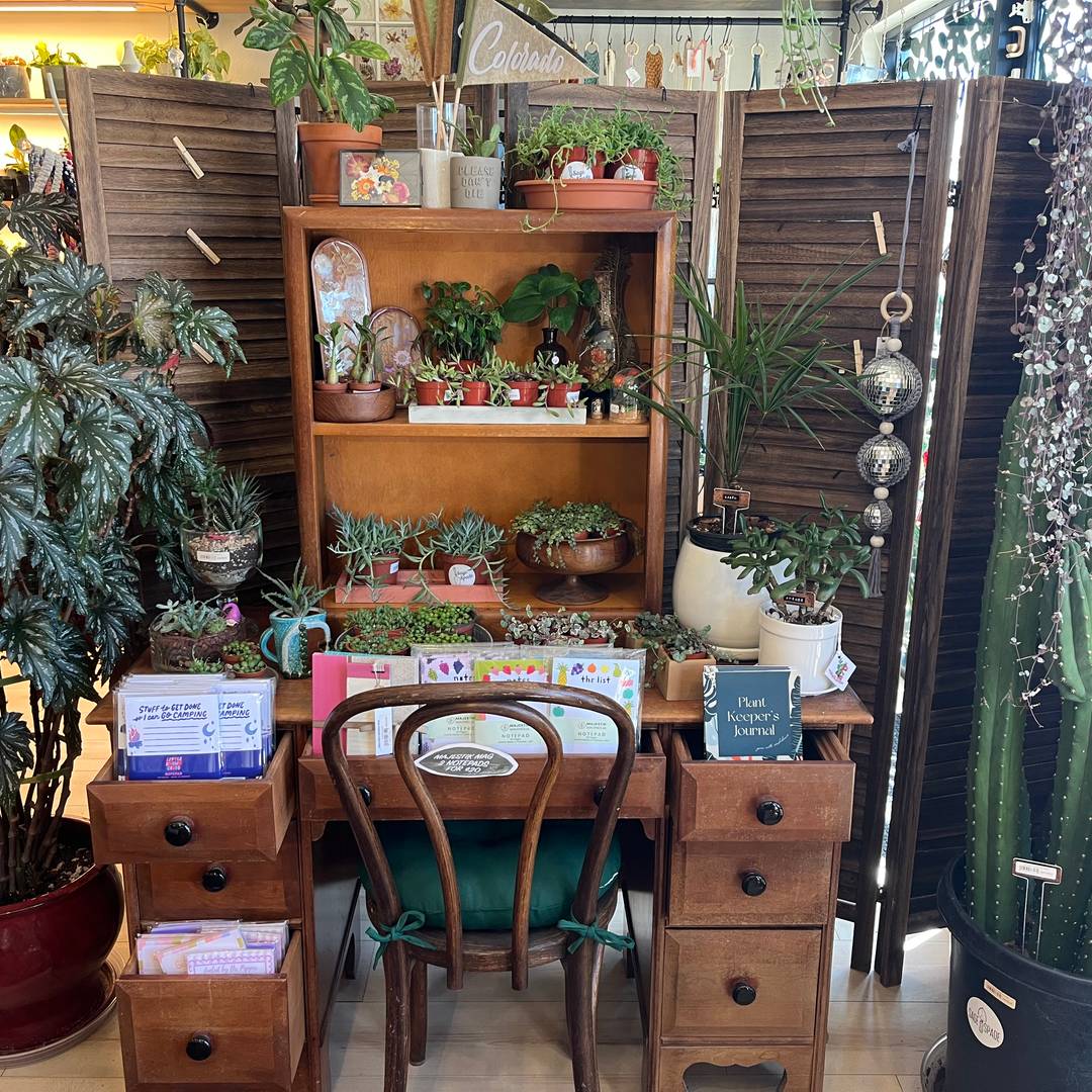 A cozy vintage wooden desk and hutch filled with many potted plants, small decor items, and drawers, arranged in front of tall wooden shutters.