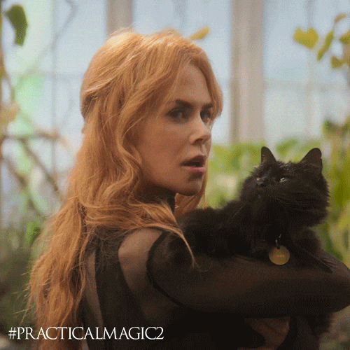 A woman with long wavy strawberry-blonde hair holds a fluffy black cat against her chest inside a sunlit greenhouse. She looks off to the side, wide-eyed and startled, and the cat stares the same way. Text reads #PracticalMagic2.