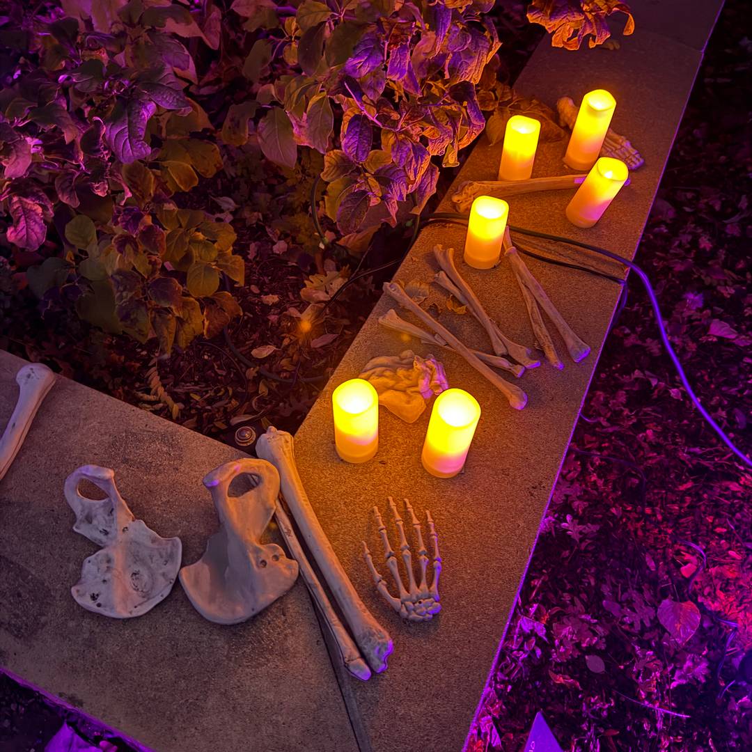 A dimly lit Halloween display featuring battery-operated candles and scattered fake bones, including a skull and skeletal hand, glowing under purple light along a garden path.