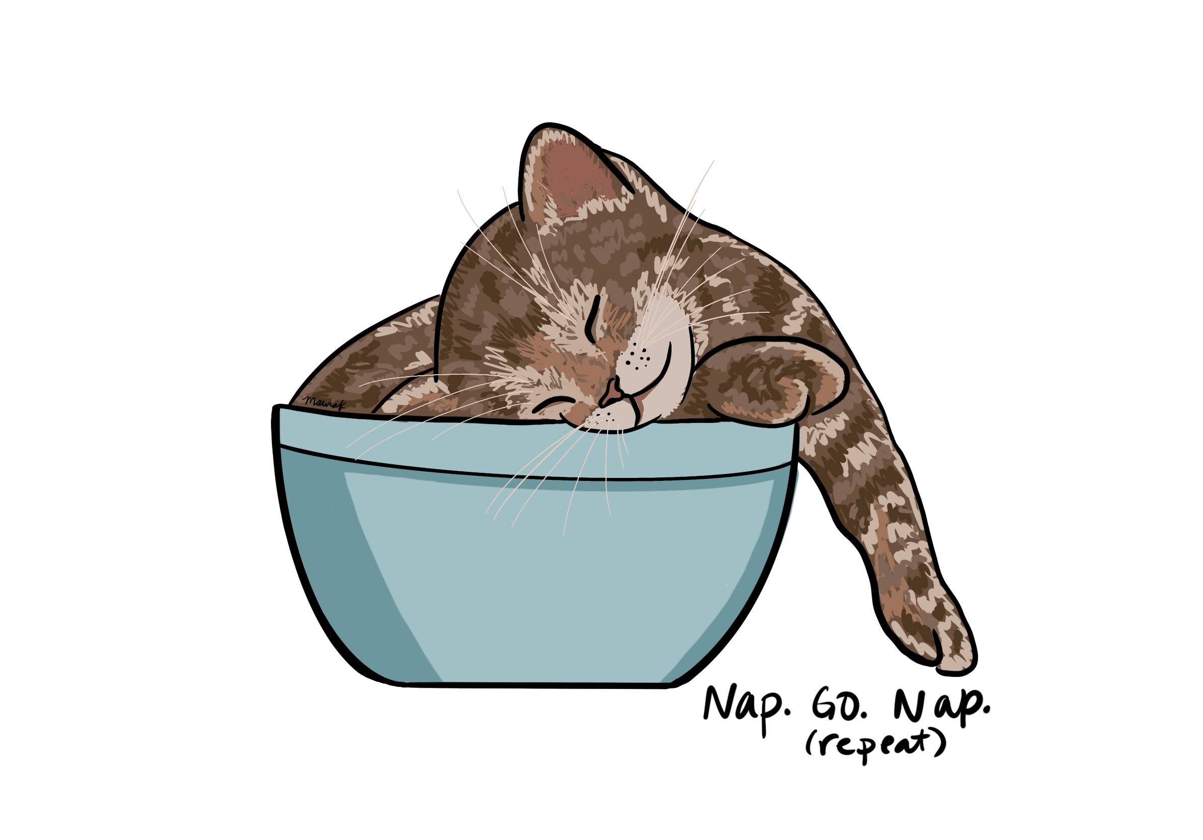 Nap like a kitten, then keep going. 