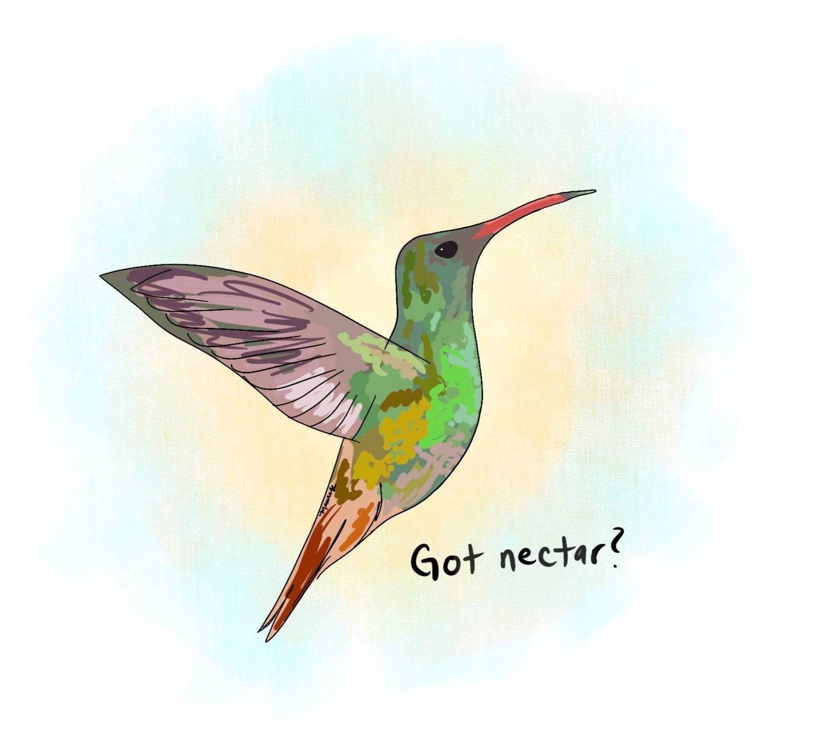 hummingbird got nectar graphic