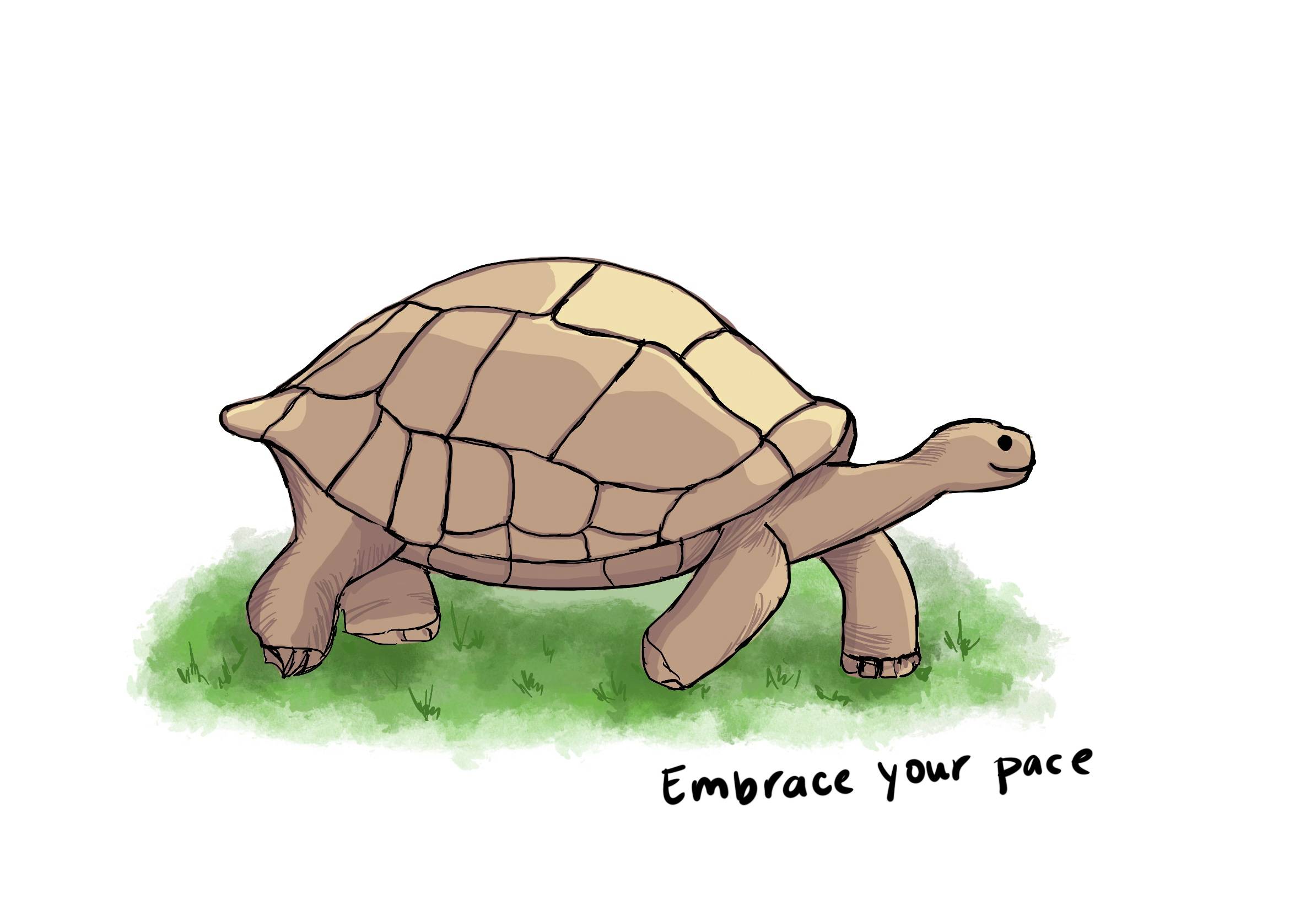 turtle graphic and words embrace your pace
