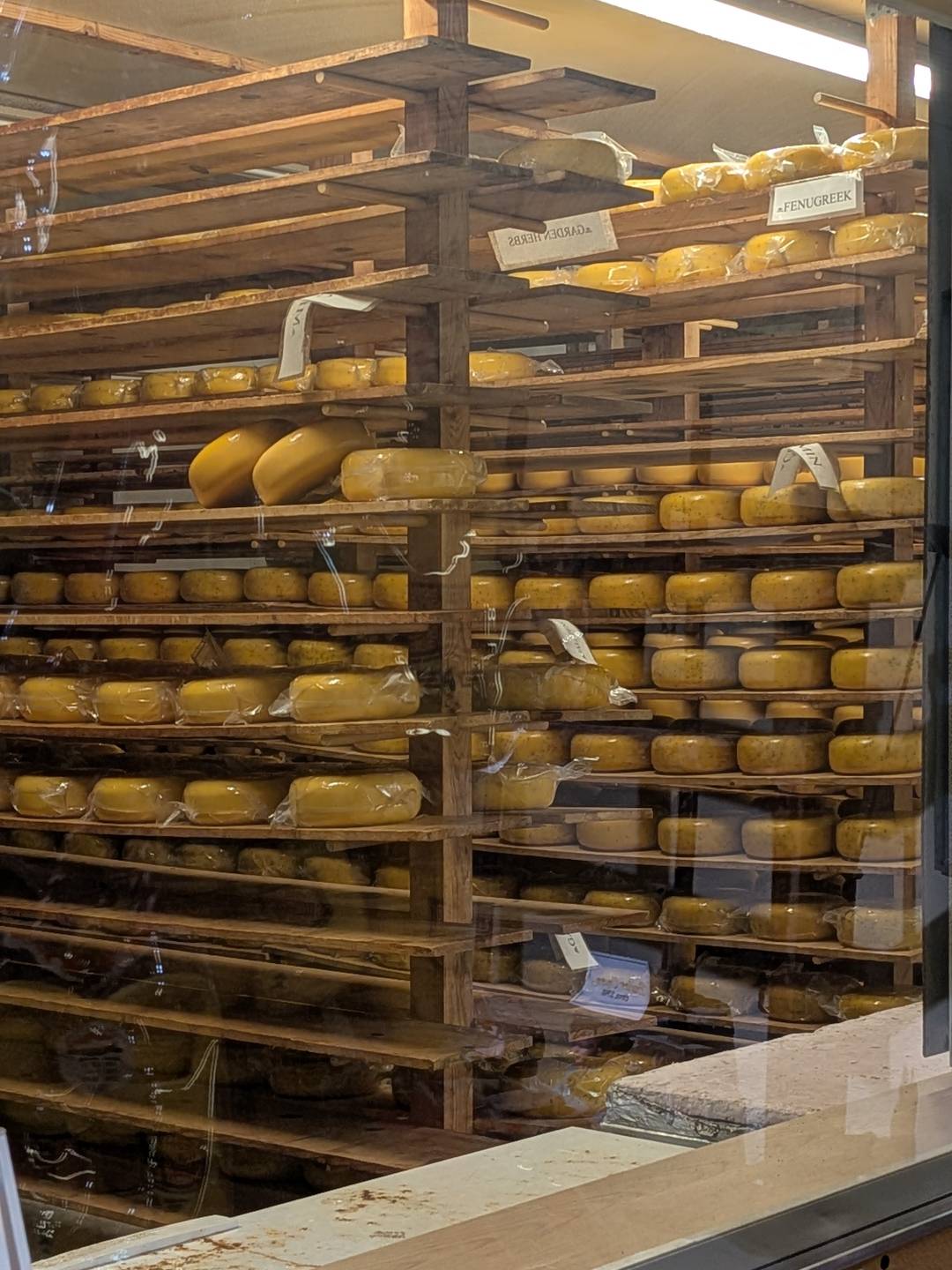 Rows of wooden shelves with gouda cheese wheels