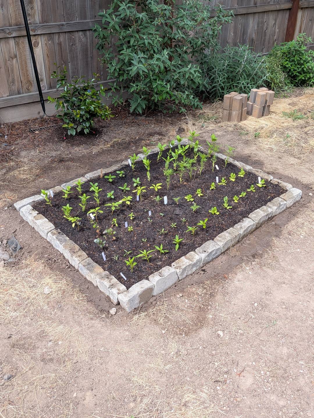 A stone-bordered garden bed with new plants
