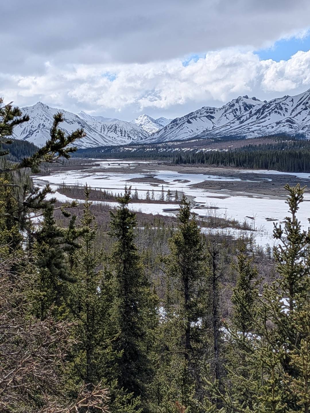 A scene of Denali National Park