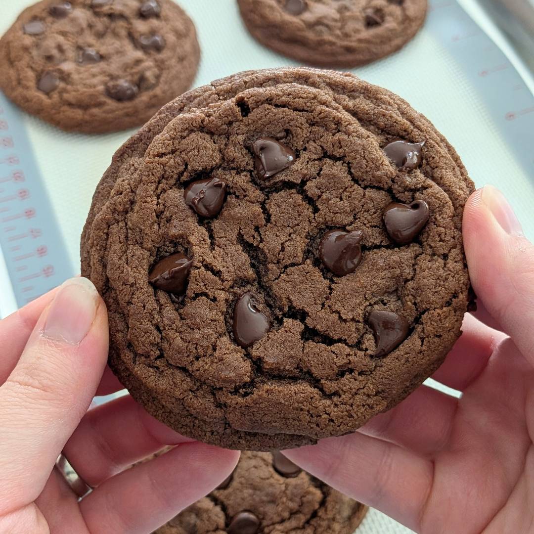 A double chocolate chip cookie held by two hands.
