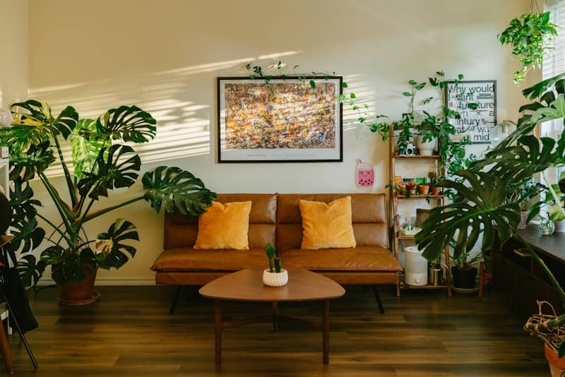Sunlit living room with brown couch and lush plants