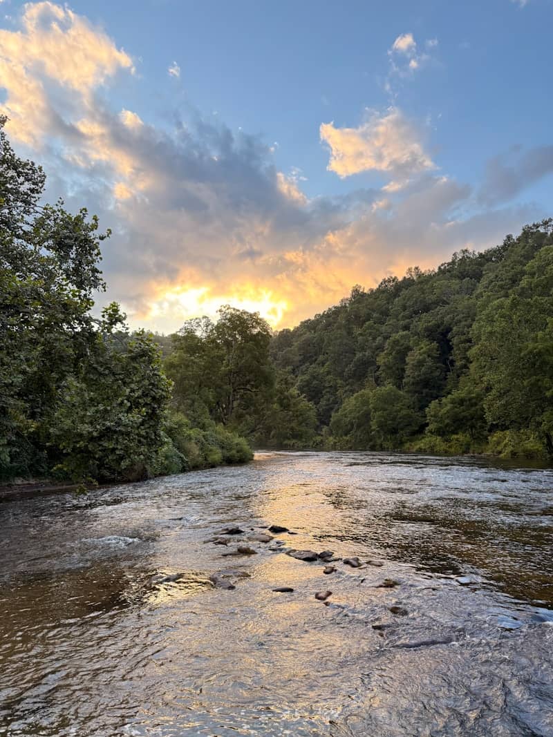 A river flows through a lush forest at sunset.