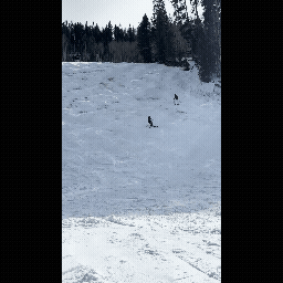 Falling down Skiing