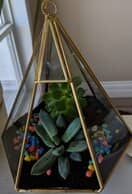 A glass and gold triangular terrarium displaying two tropical plants inside.