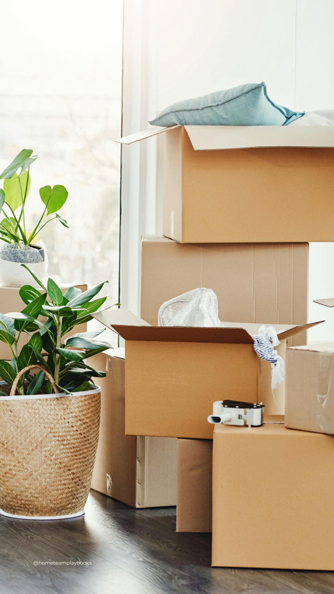 A room filled with lots of boxes and plants