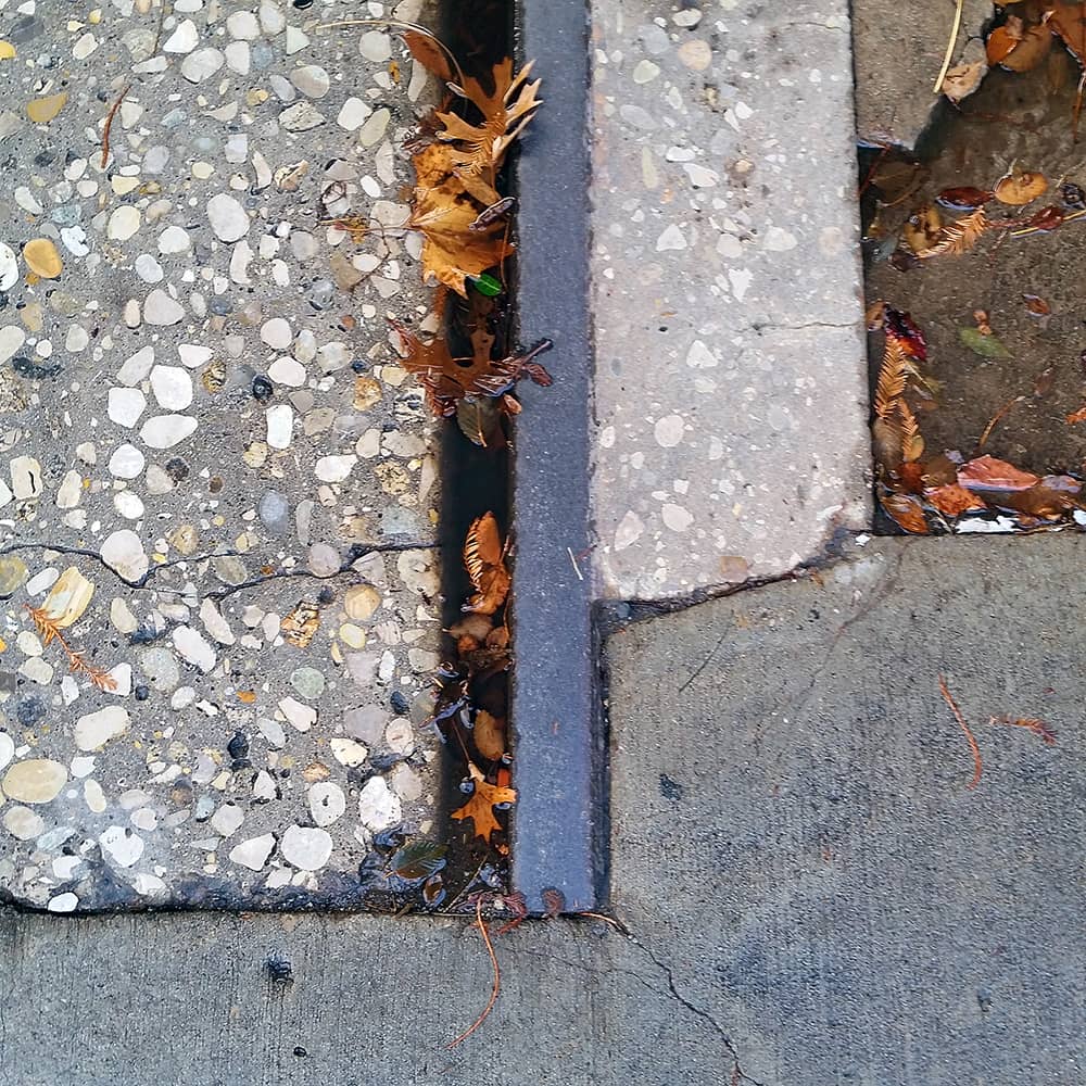 Photo of different areas of concrete surrounding a disused trolley track. There are brown, wet leaves.