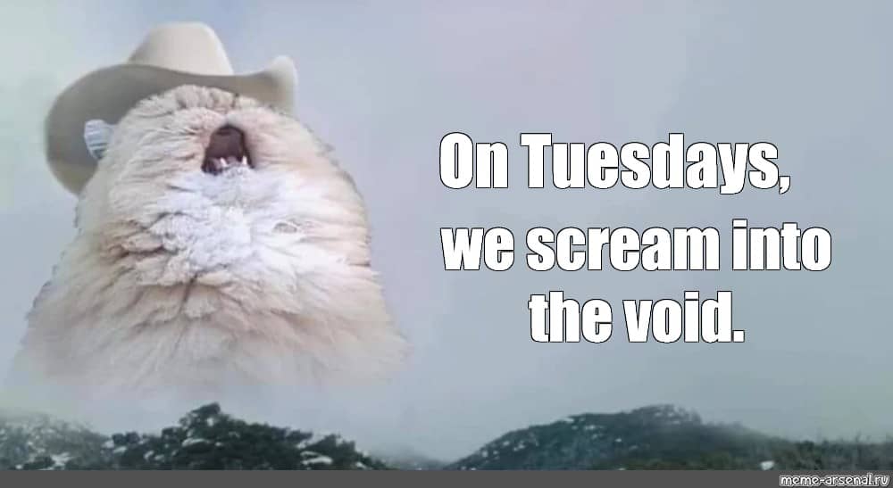 Photo of a snowy landscape above which hovers the giant head of a yowling cat wearing a cowboy hat. On the right, text reads: On Tuesdays, we scream into the void.