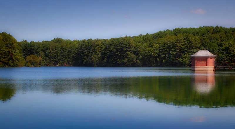 A large body of water surrounded by trees