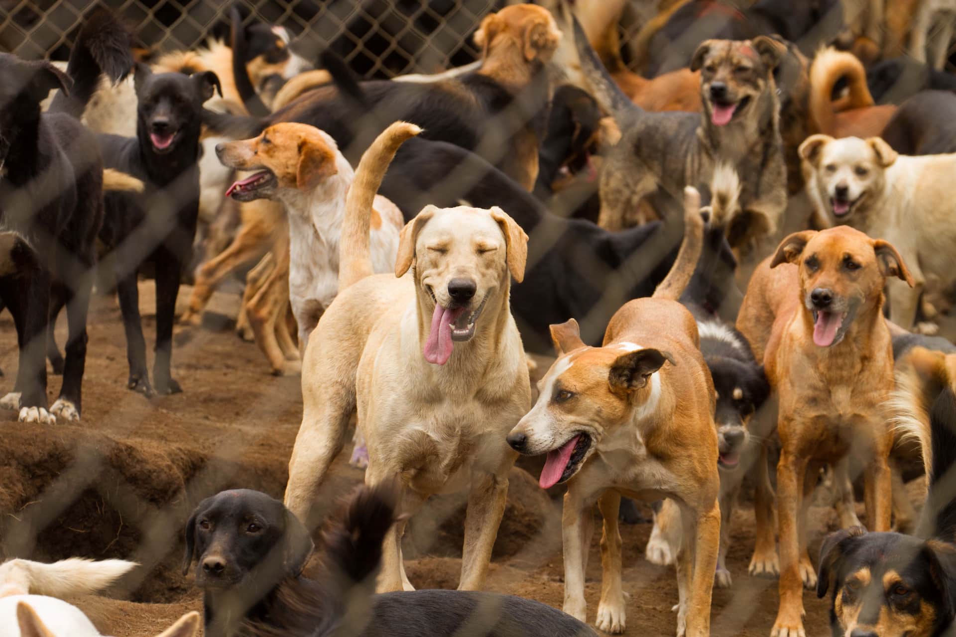 thumbnail placeholder