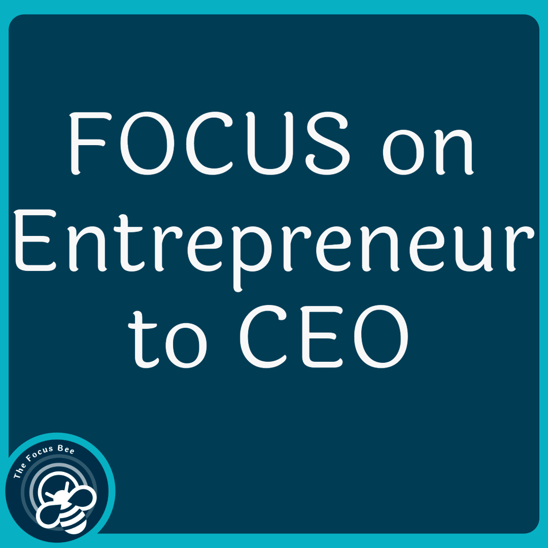 Entrepreneur to CEO