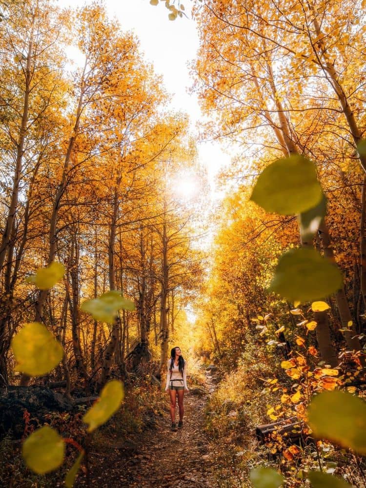 fall colors california